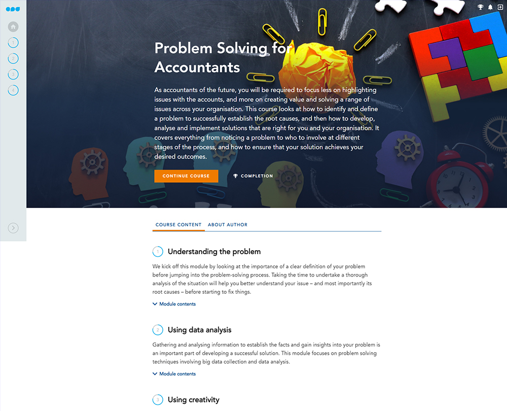 does accounting involve problem solving